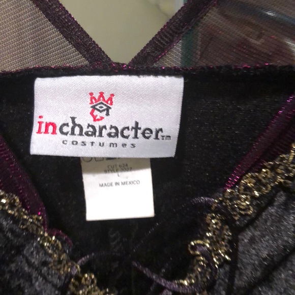 Enchanting Witch Costume - Picture 3 of 5